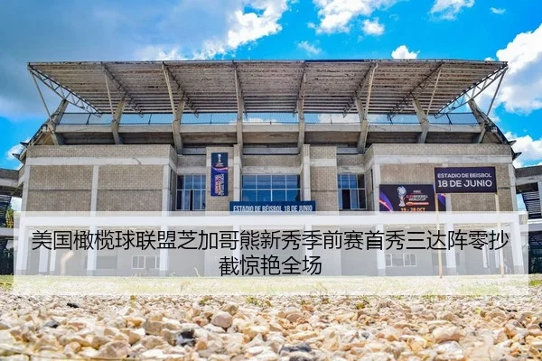 美国橄榄球联盟芝加哥熊新秀季前赛首秀三达阵零抄截惊艳全场